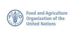 برنامج منظمة الفاو العالمية التابعة للأمم المتحدة