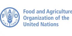 فرص وظيفية في الإدارة لدى منظمة الأغذية والزراعة (الفاو)