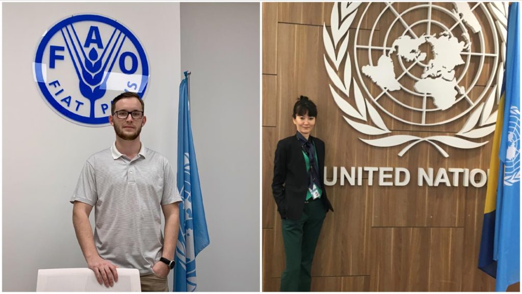 FAO Young Talent Internship 2024